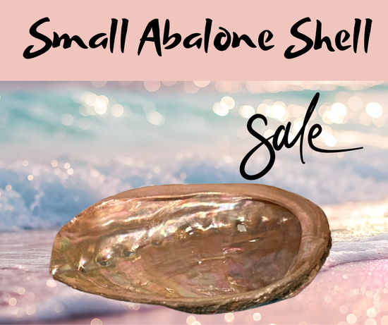 Abalone Shell -Small (3.5–4 in.) perfect for incense and smudging.