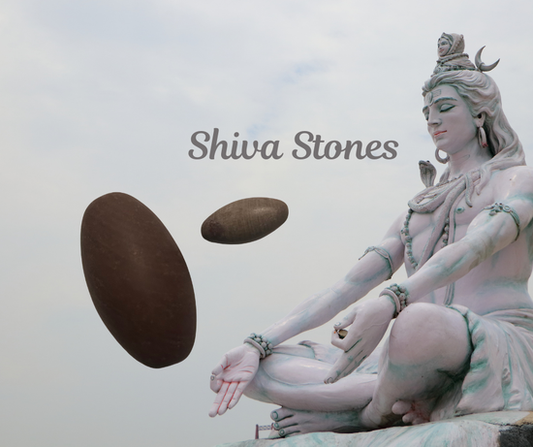 Natural Shiva Lingam stones in small and large sizes, offering grounding, balanced masculine–feminine energy, and steady support for meditation or altar work.